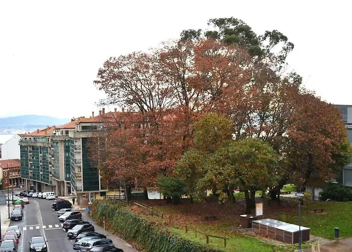 Bolboreta Playa Rodeira